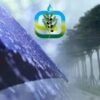 وزارة الفلاحة توصي الفلاحين بأخذ الاحتياطات اللاّزمة لحماية مواشيهم والآلات الفلاحيّة والتّجهيزات