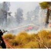 في 24 ساعة فقط:147 تدخلا لإطفاء الحرائق