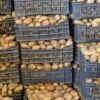 نابل: حجز أكثر من 70 طنّ من البطاطا بمسالك توزيع غير قانونية