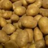 نابل: حجز أكثر من 70 طنّ من البطاطا بمسالك توزيع غير قانونية