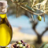 تونس الأولى عالميا في إنتاج الزيتون البيولوجي