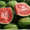 القيروان:البلدية تخصص فضاءات منظمة لبيع”البطيخ والدلاع” للحد من الانتصاب العشوائي