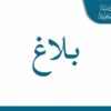 رئيس الجمهورية يصدر عفوا رئاسيا لـ2439 سجينا