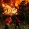 حرائق الغابات تجبر نحو 270 ألف شخص على الإجلاء في فرنسا وإسبانيا