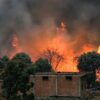 الجزائر: 12 وفاة و54 إصابة جراء حرائق الغابات