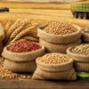 الميزان التجاري الغذائي يسجل فائضا بقيمة 983.1 مليون دينار موفى شهر أوت 2026